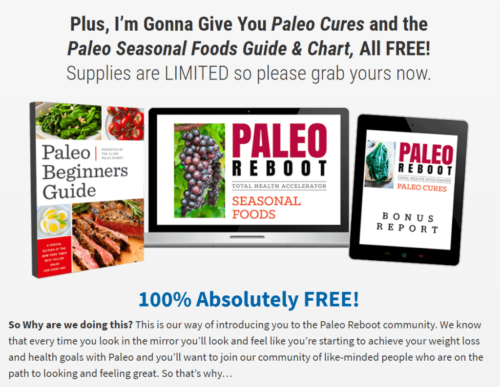 paleo diet meal plan new york
